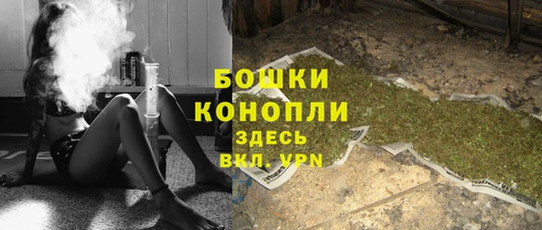 индика Слюдянка