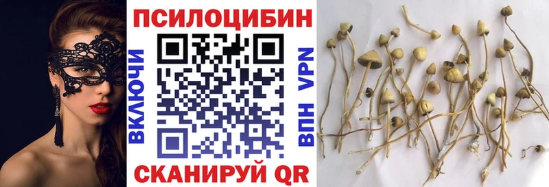 площадка телеграм  Чусовой  блэк спрут как зайти  Псилоцибиновые грибы Psilocybe  закладки 