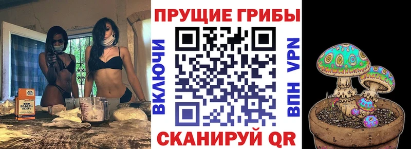 Псилоцибиновые грибы MAGIC MUSHROOMS Чусовой